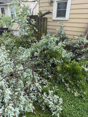 Fallen tree branches and leaves piled against a beige house and window after storm damage