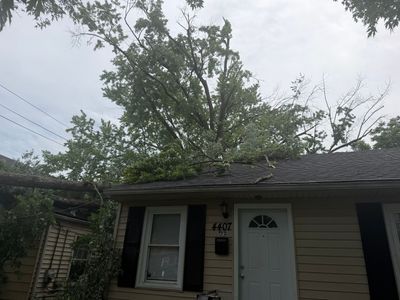 Small house exterior with tan siding, white door, and a large tree over the roof.