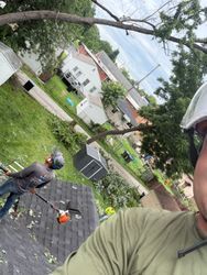 Two workers on a roof pruning trees in a suburban neighborhood, one partly visible in foreground.
