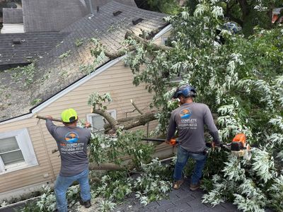 Workers trimming tree branches beside a house roof with a chainsaw