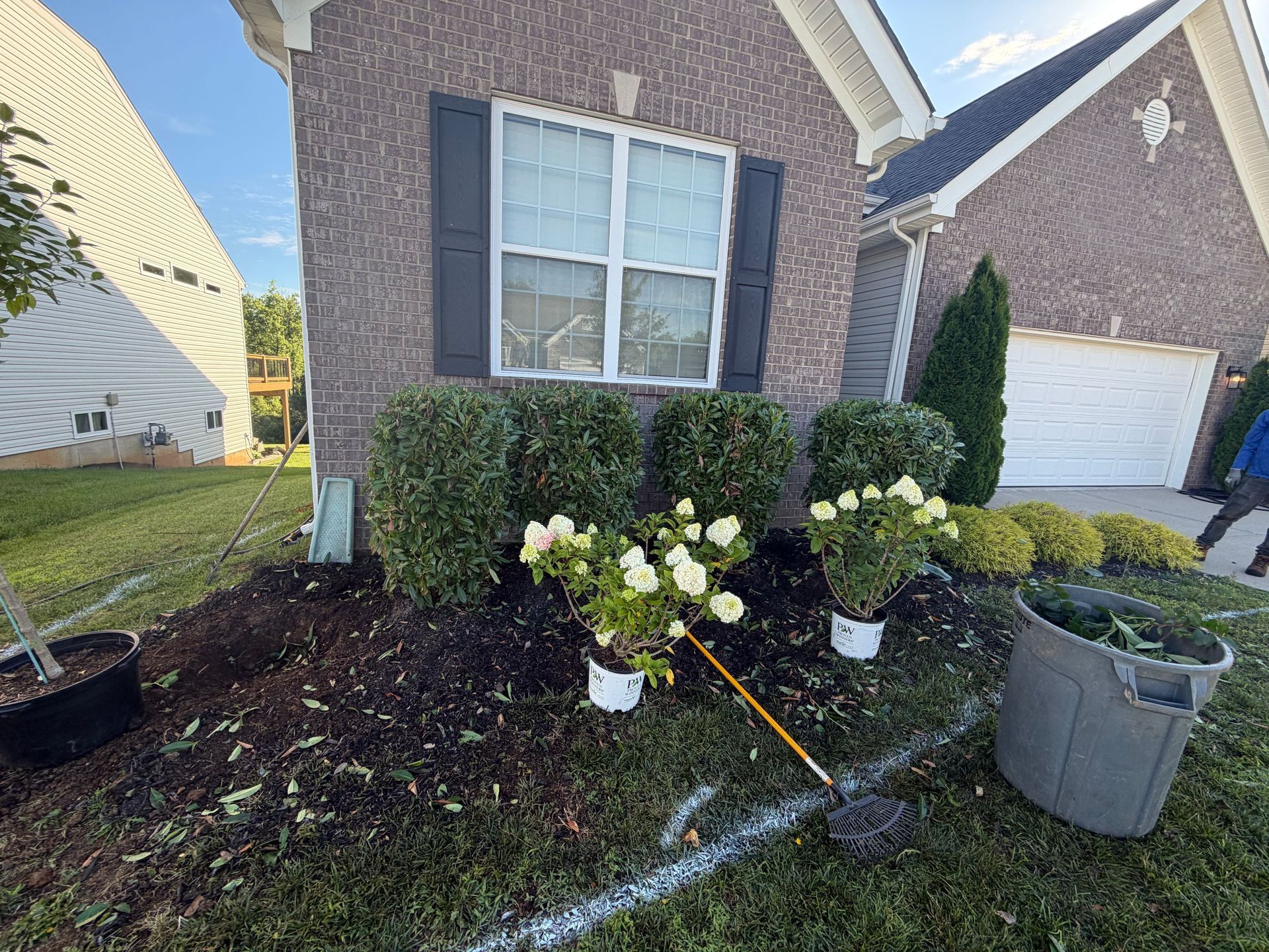 Front yard landscaping with white flowers, shrubs, a brick house, and gardening tools near the window