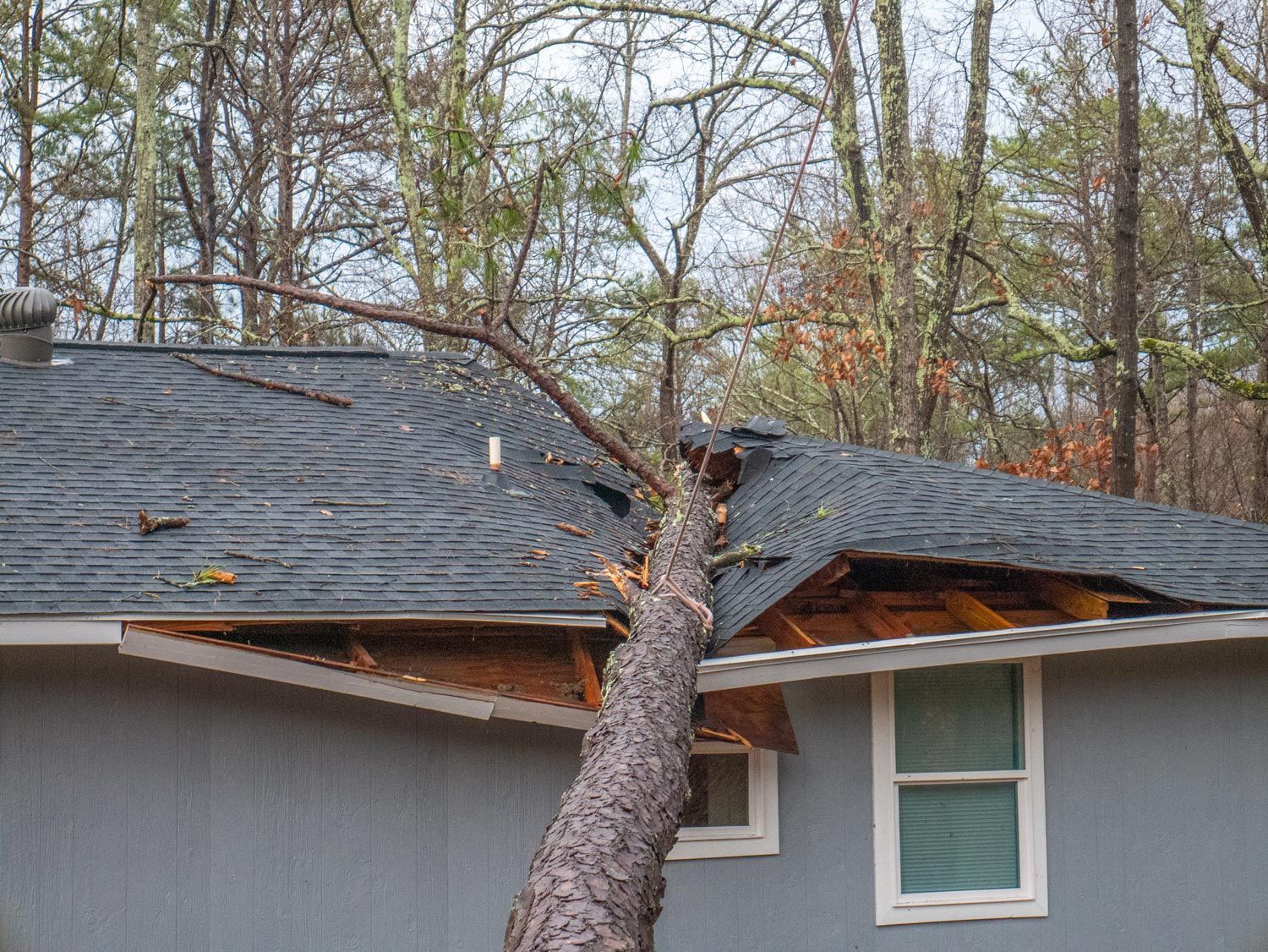 Large tree trunk fallen onto a house roof, damaging the shingles and eaves Large tree trunk fallen onto a house roof, damaging the shingles and eaves