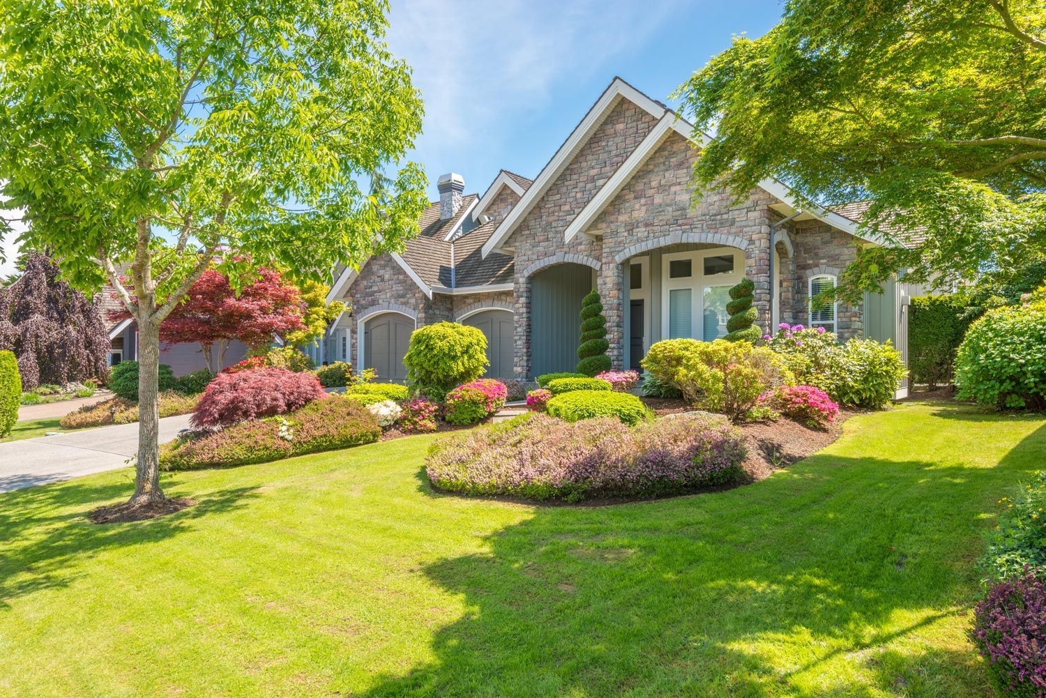 Suburban house with stone facade, green lawn, and colorful shrubs in bright sunlight Suburban house with stone facade, green lawn, and colorful shrubs in bright sunlight