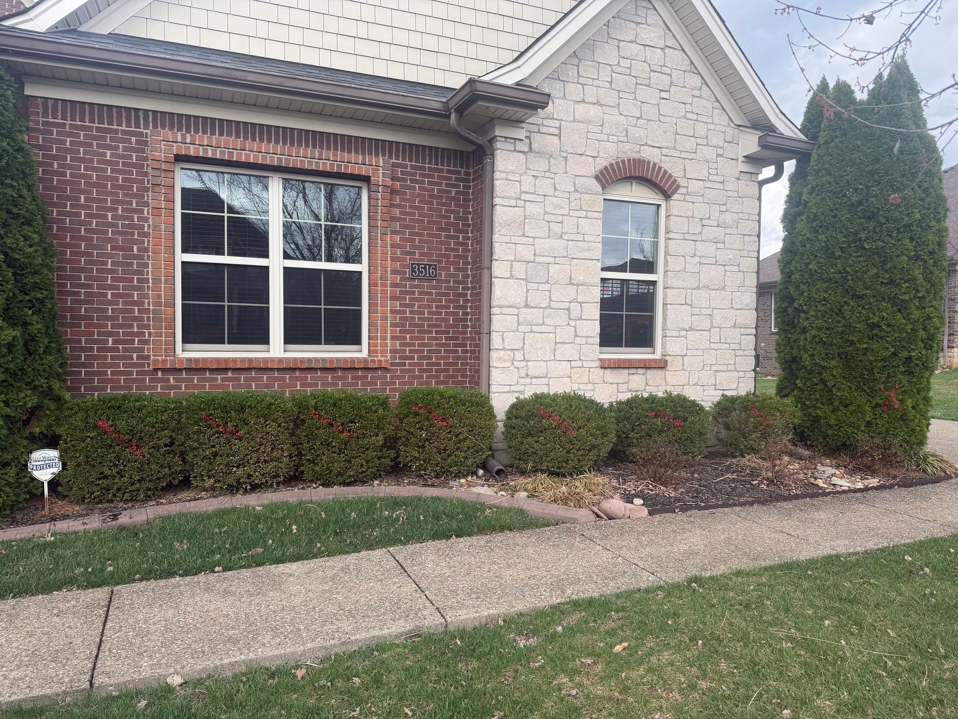 Front of a brick and stone house with windows, shrubs, and a sidewalk in the yard