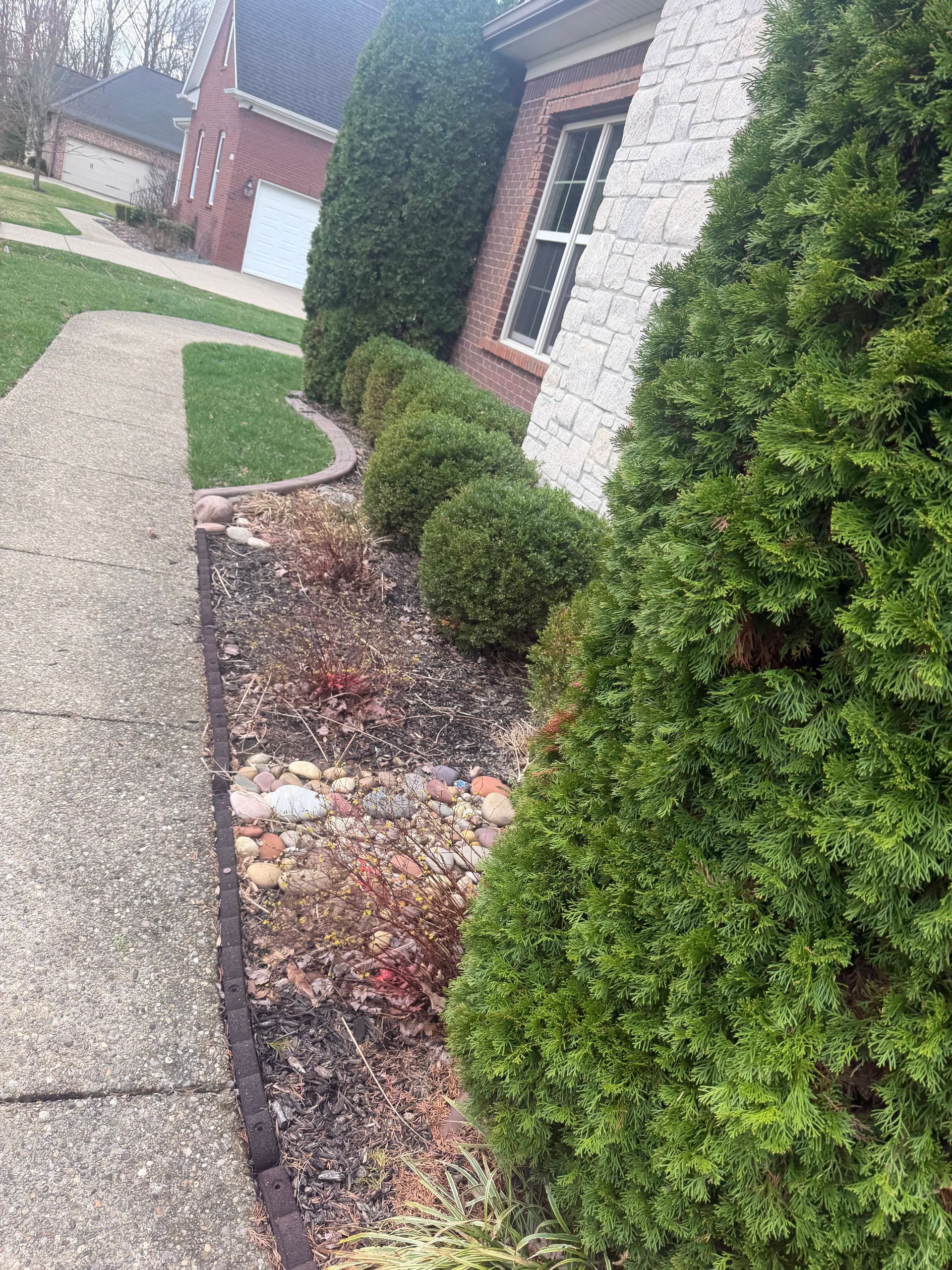Front walkway beside a house with shrubs, stone edging, and a pebble garden bed