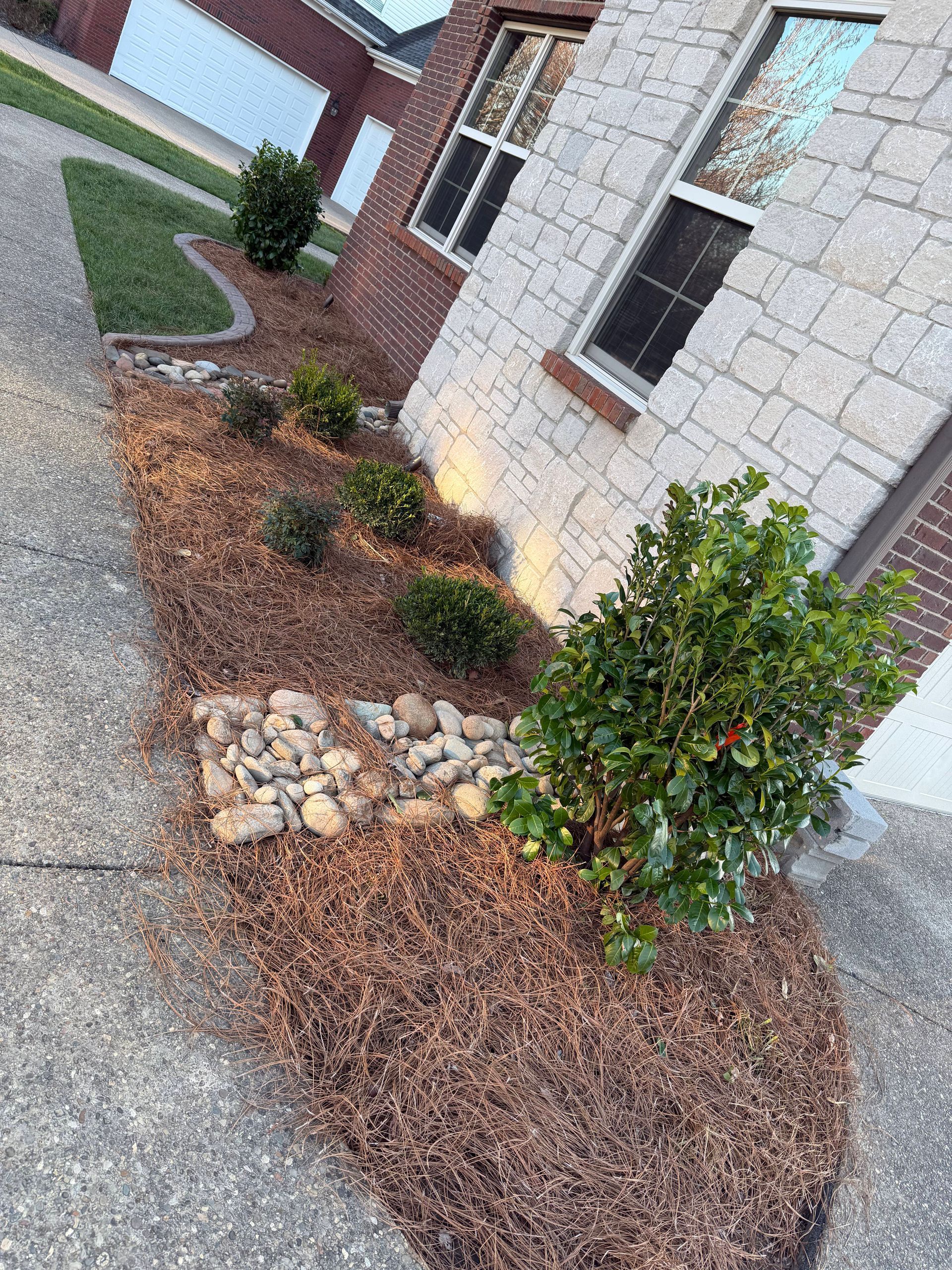 Landscaped front yard with mulch, shrubs, and a stone bed beside a brick house and driveway