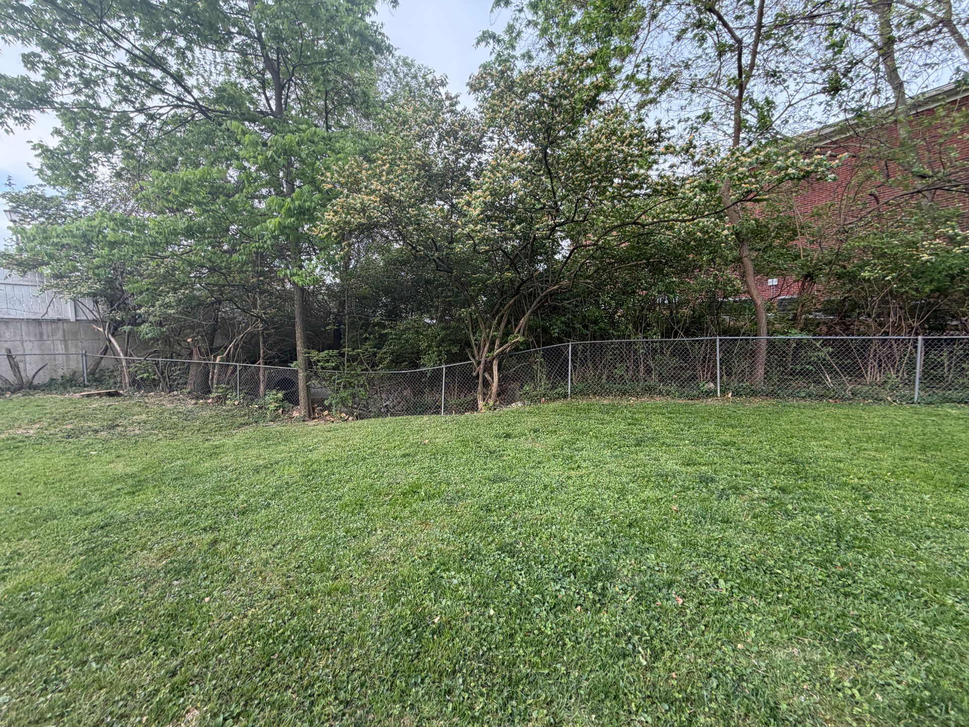 Grassy yard with trees and a wire fence beside a brick building under a cloudy sky