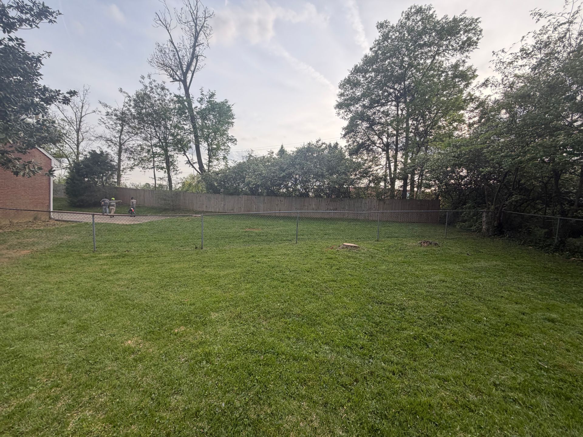 Grassy backyard with a brick building, tall trees, and a low wall under a cloudy sky