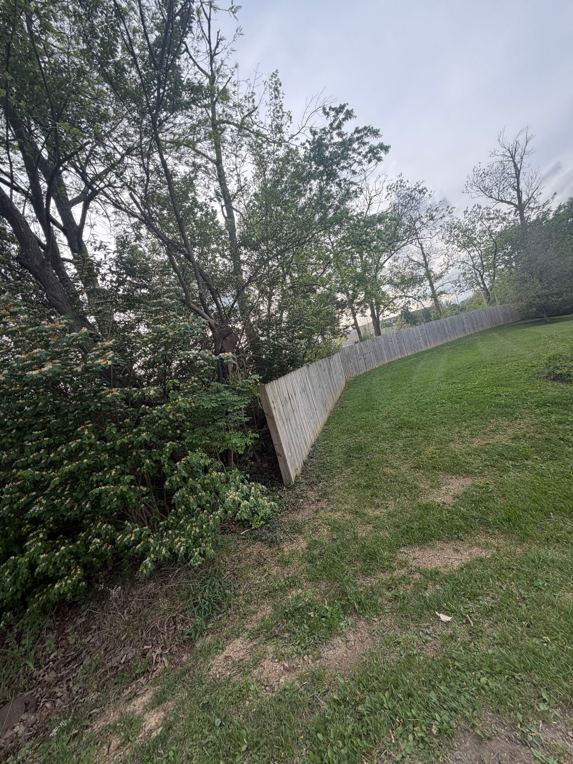 Grassy hillside beside dense trees and a slanted concrete retaining wall under an overcast sky