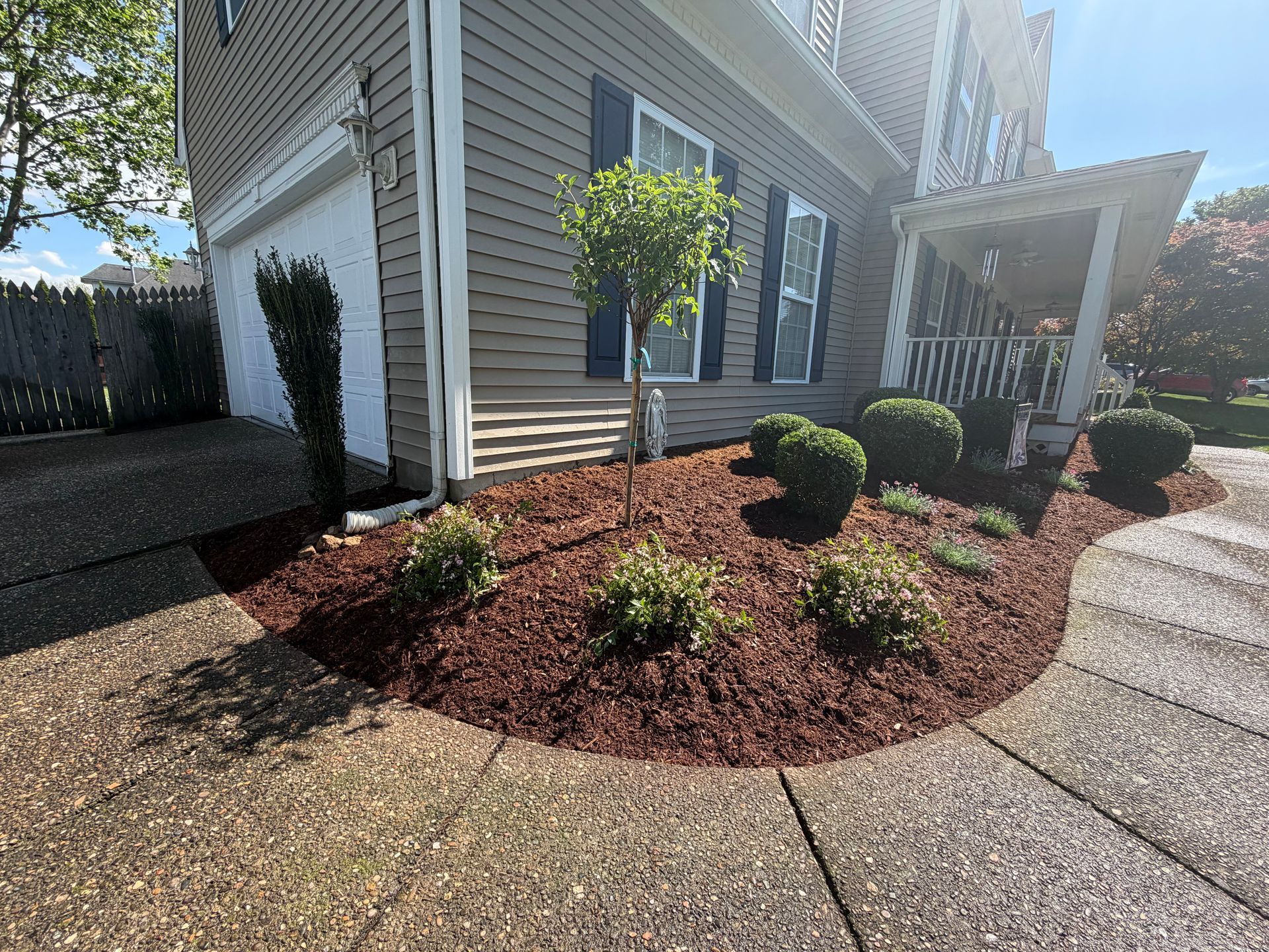 Front yard landscaping with mulch beds, shrubs, and a curved concrete walkway beside a house