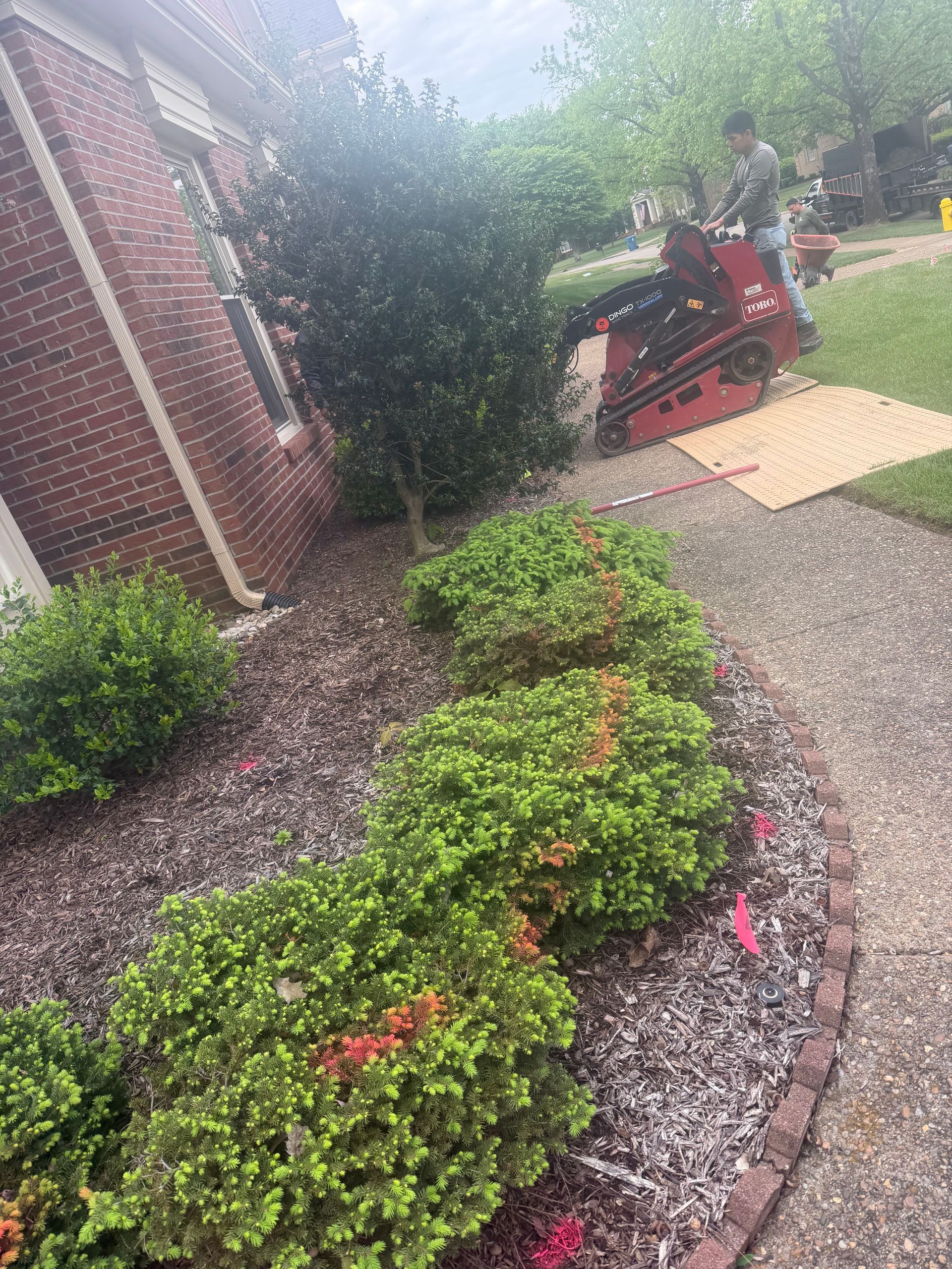 Person mowing a lawn beside a brick house with landscaped shrubs and a gravel path
