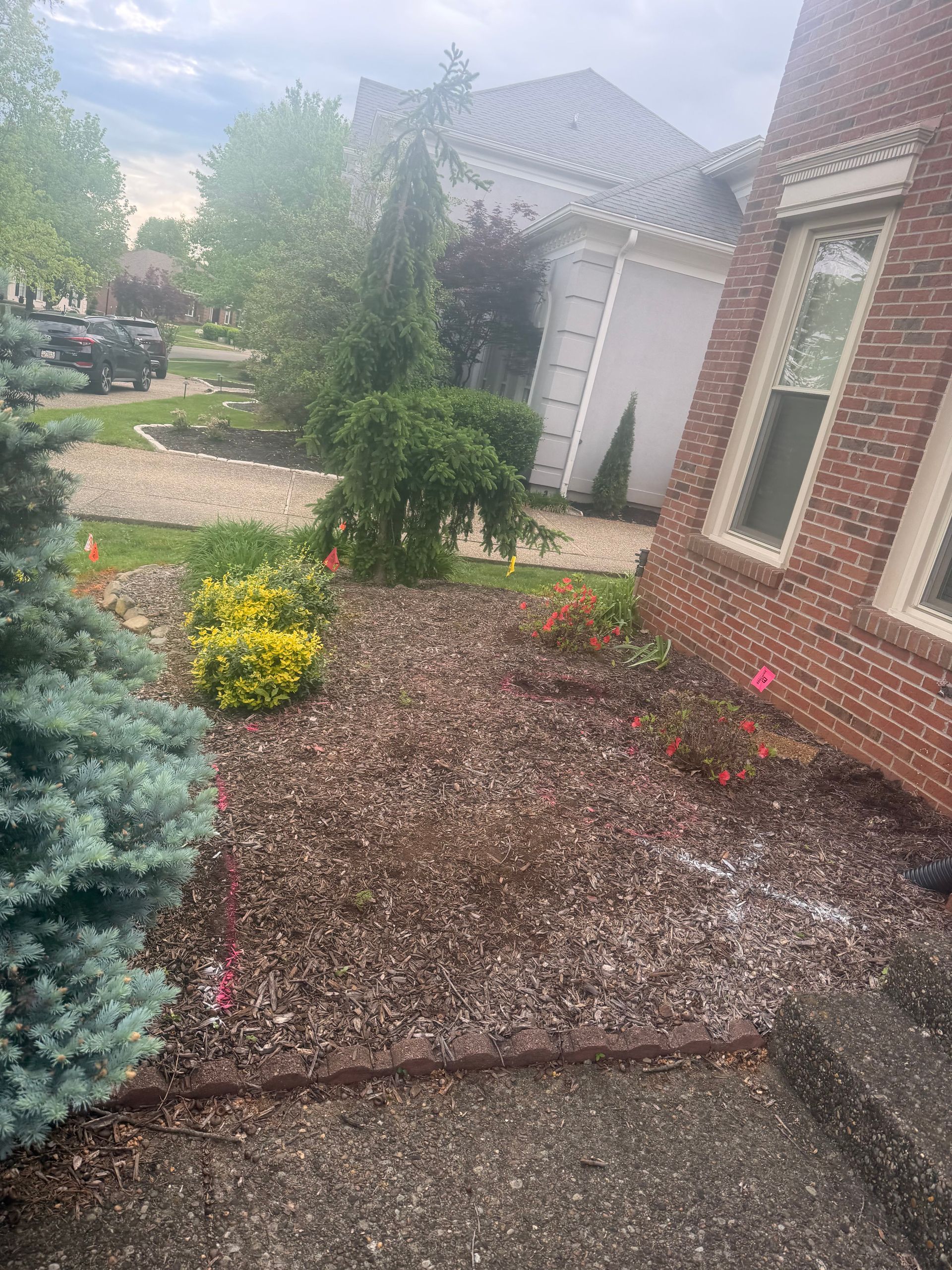 Rain-soaked front yard with gravel paths, green shrubs, yellow flowers, and a brick house wall