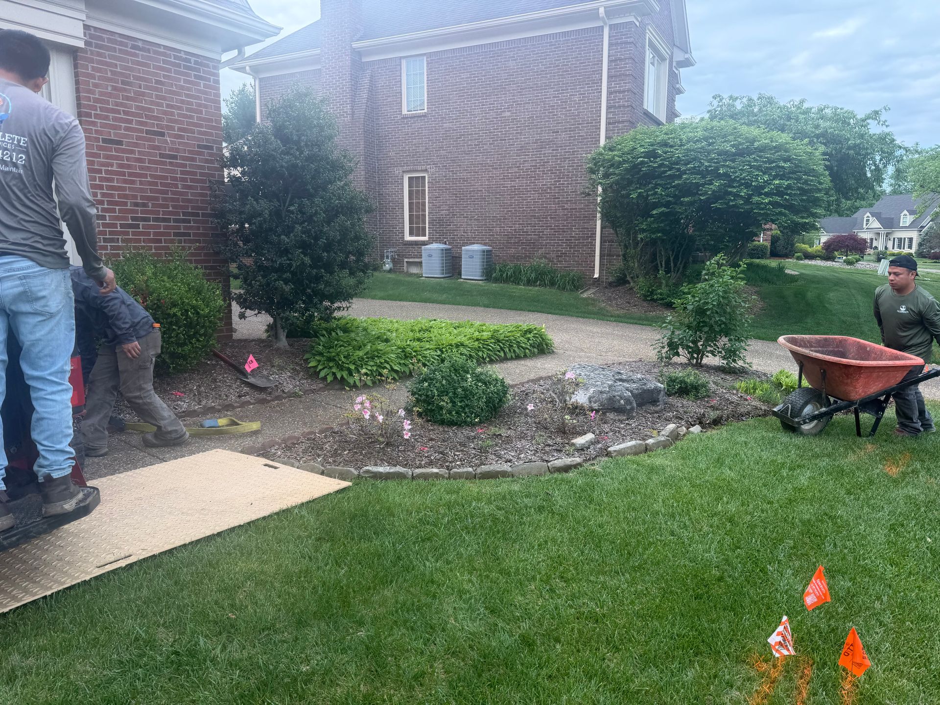 Two workers landscaping a brick house yard, with a wheelbarrow, trimmed shrubs, and fresh mulch.
