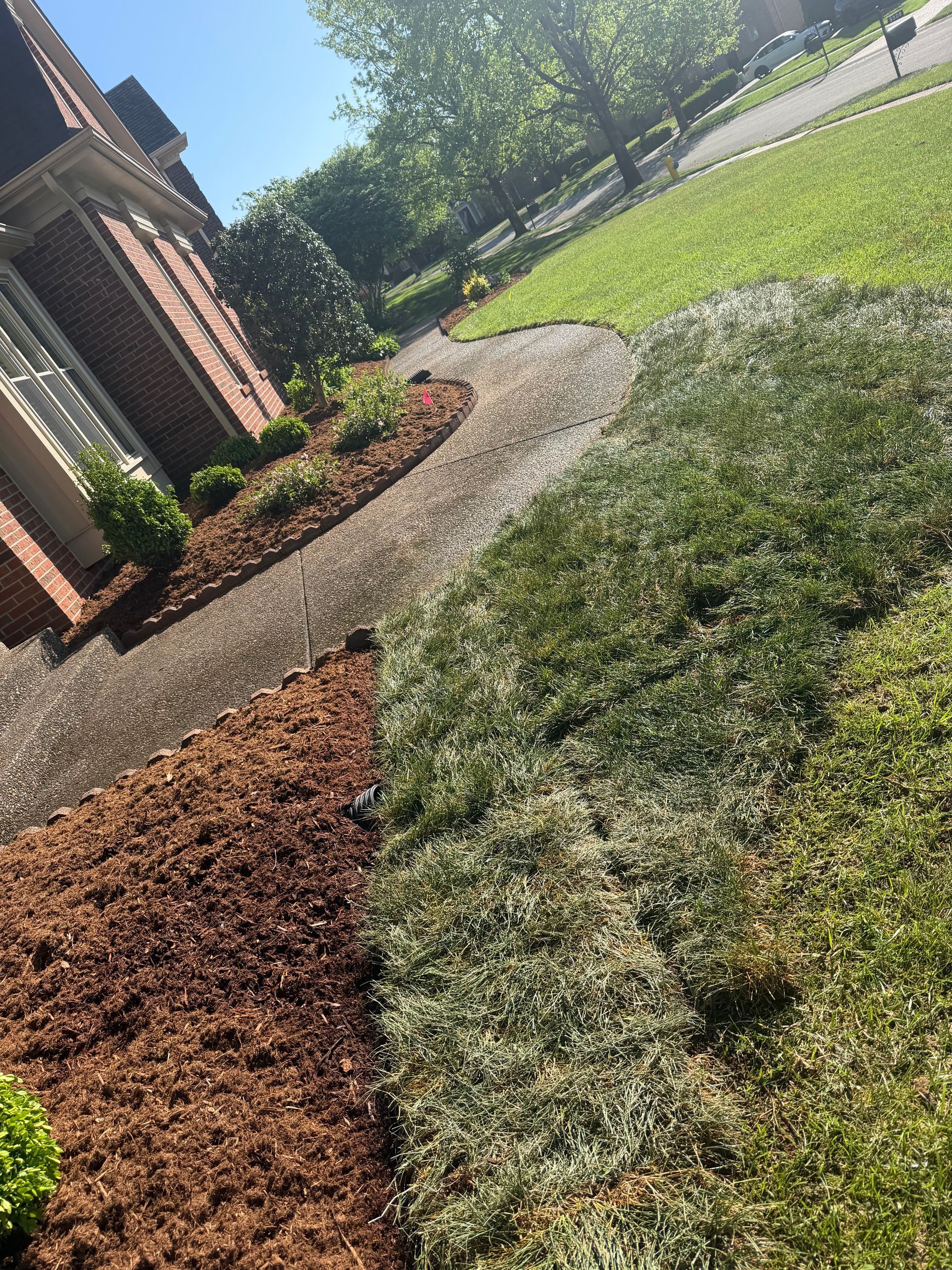 Curved gravel path beside a brick house, bordered by mulch and green lawn in bright sunlight