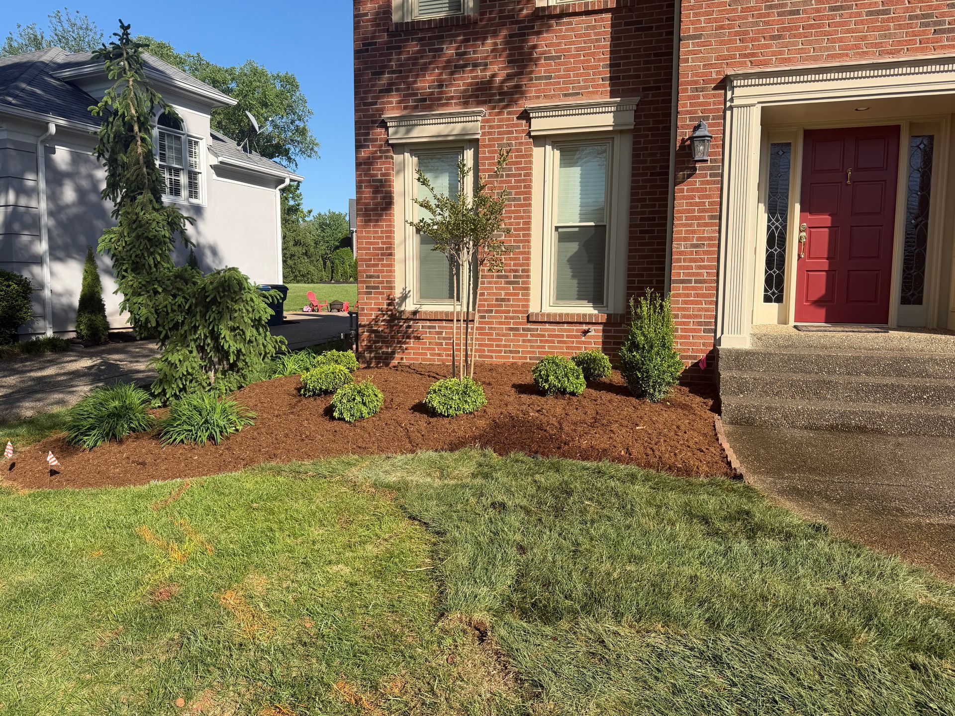 Front yard landscaping with mulch beds, shrubs, and a brick house with red shutters and a red front door.
