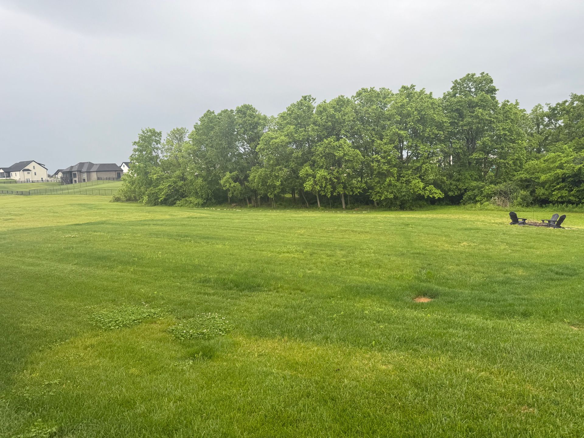 Wide grassy field with trees and a few distant houses under a cloudy sky.