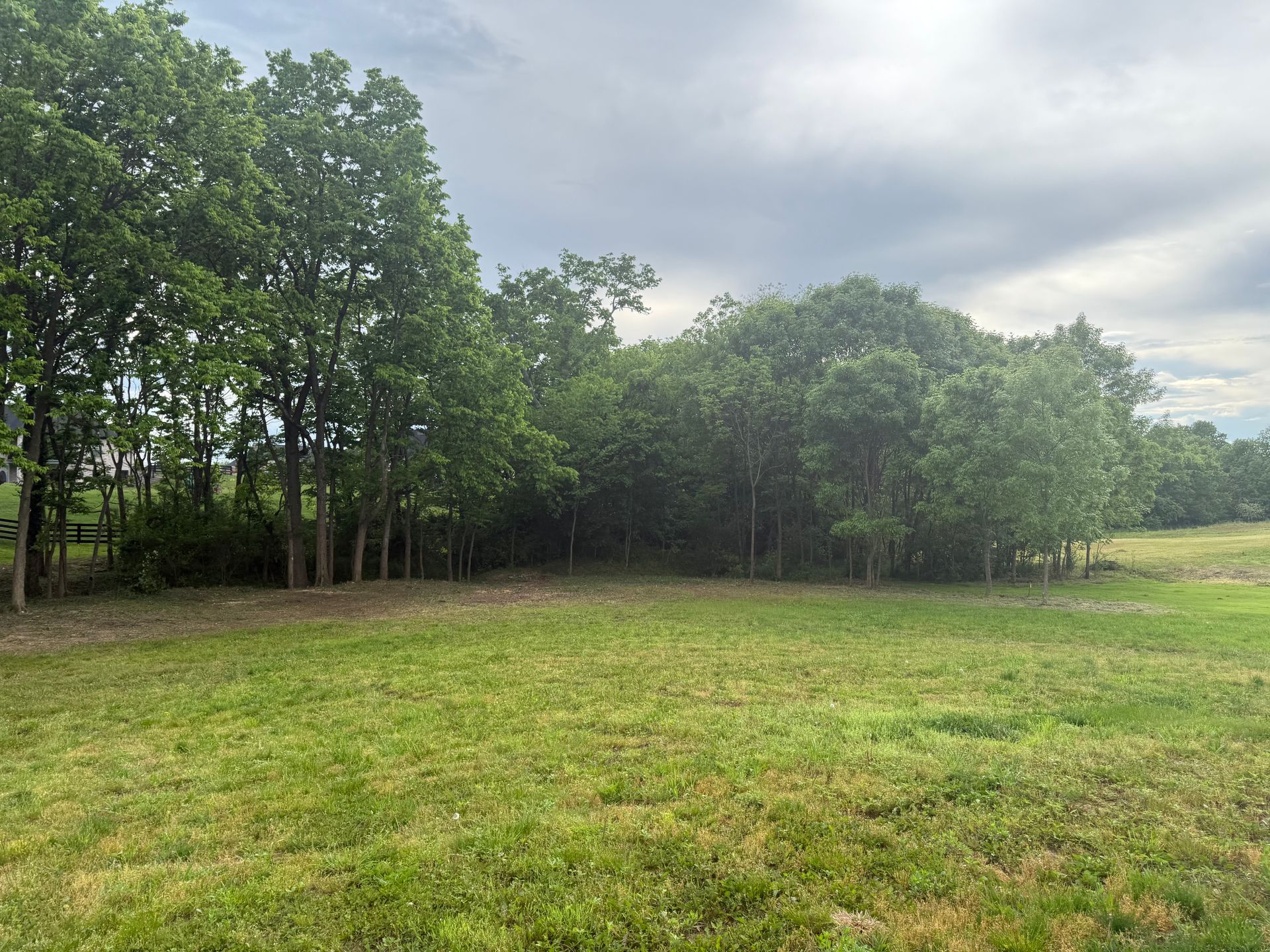 Grassy field bordered by trees under a cloudy sky