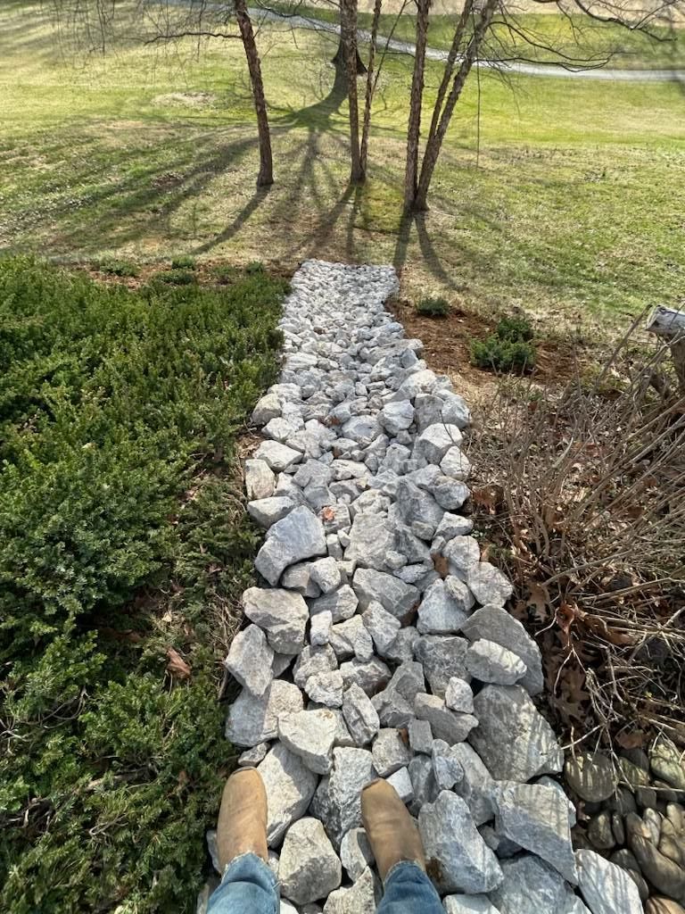 Rock-lined path through a grassy yard toward leafless trees