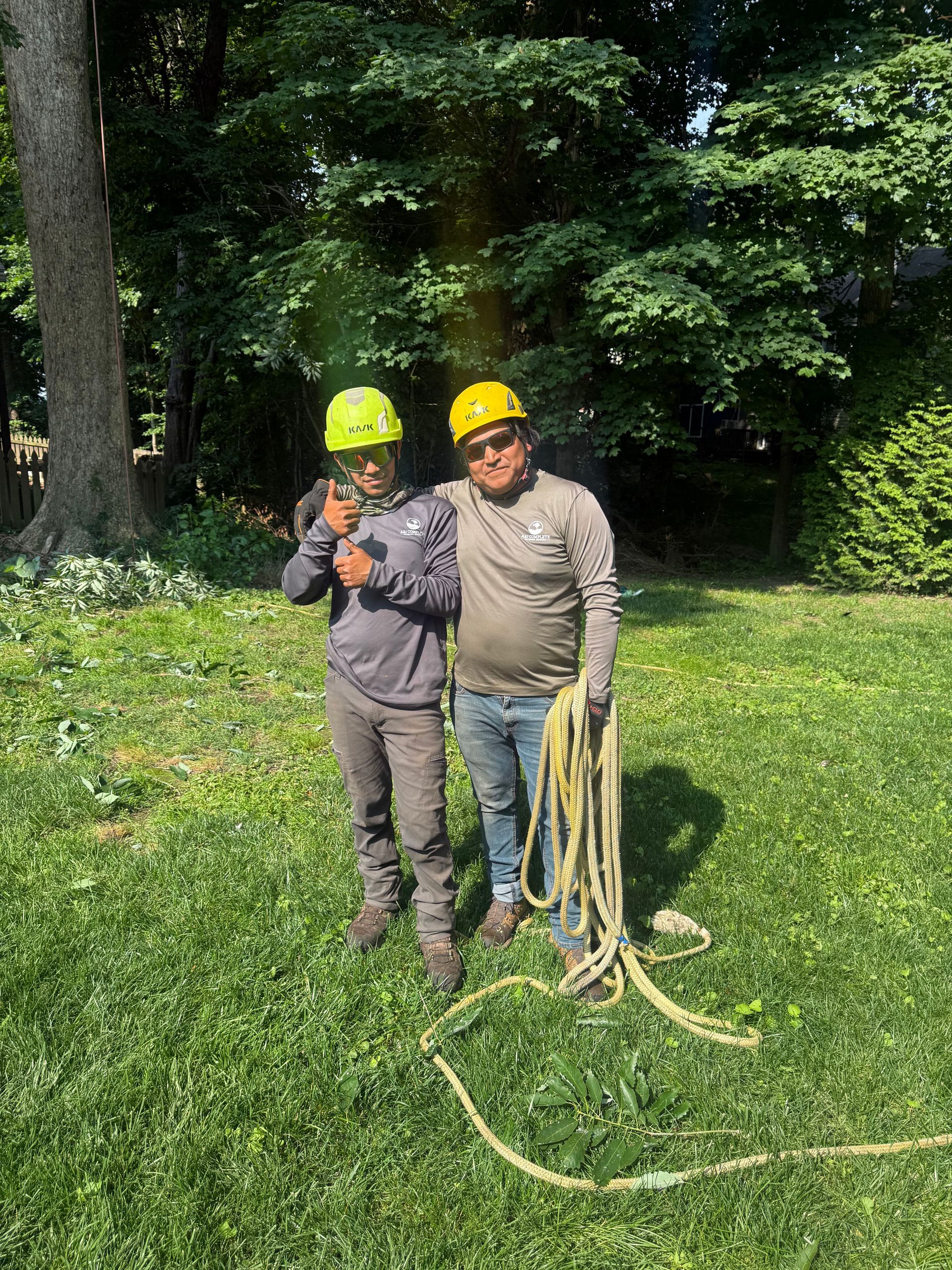 Two workers in yellow hard hats stand on a grassy lawn holding ropes near trees.