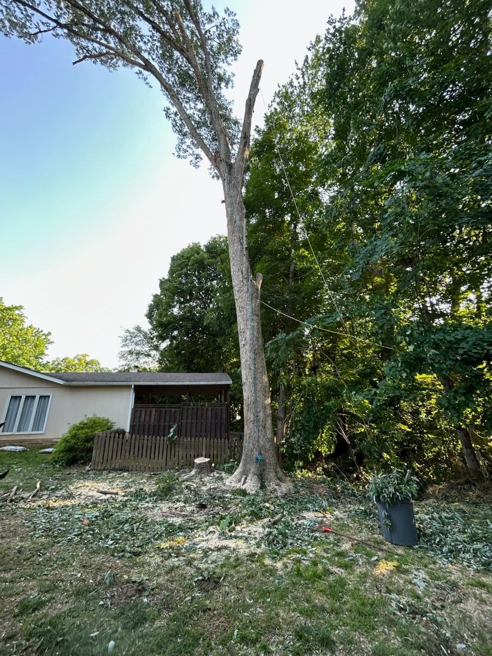Tall dead tree trunk in a yard beside a house, with green trees and scattered yard debris.