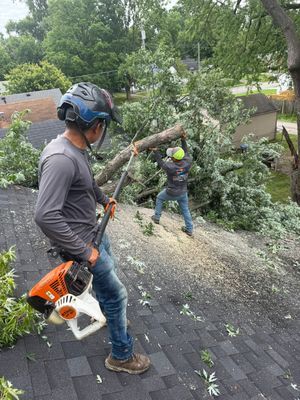 Two workers trimming a tree on a roof, one holding a chainsaw and one handling branches.