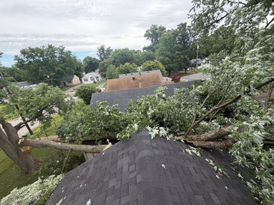 Tree branch over shingled roof, with suburban houses and cloudy sky in the background