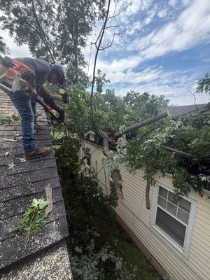 Worker clearing fallen tree limbs from a roof beside a house after storm damage.