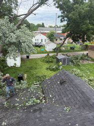 Backyard view with a roof in foreground, trees, a person on a lawn, and houses beyond a street