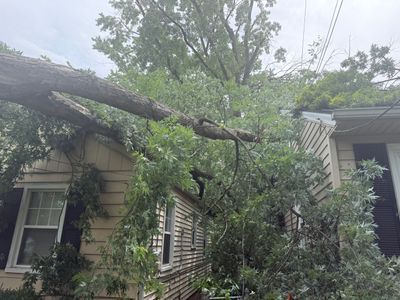 Storm-damaged tree branches overhang a house and block the front yard.