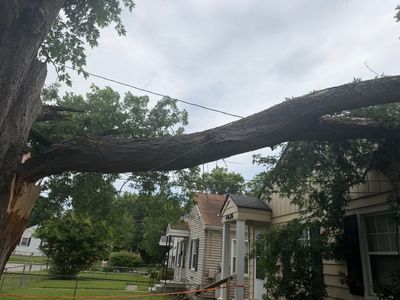 Large fallen tree limb across a residential street with damaged houses and power lines under a cloudy sky