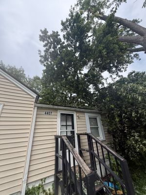 Front entrance of a beige house with black stairs and railing under a tree.