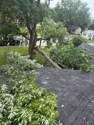 Fallen tree limb over a shingled roof in a leafy suburban yard after stormy weather
