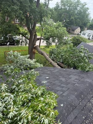 Storm-damaged tree leaning over a roof in a suburban yard, with branches and leaves covering shingles.