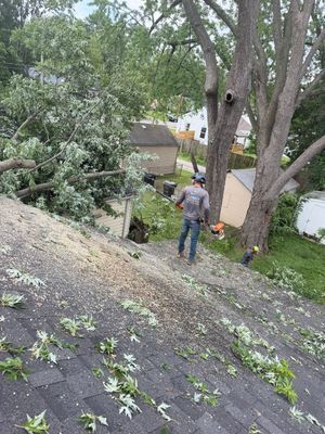 Person standing on a steep rooftop among trees, looking down toward a yard below.