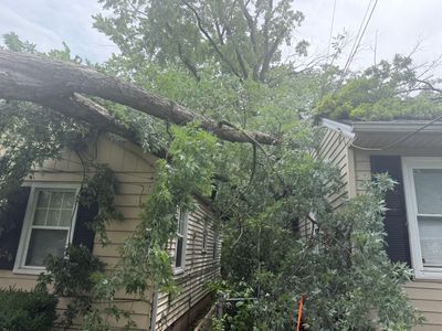 Large tree fallen onto the roof of a beige house amid storm damage