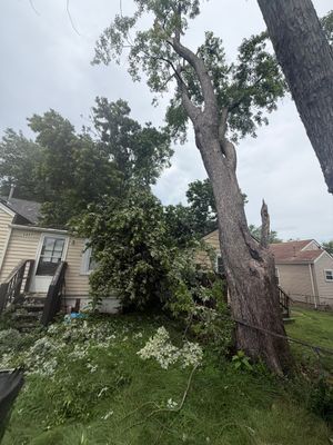 Storm-damaged tree leaning over a grassy yard beside a house, with a broken trunk and fallen branches.