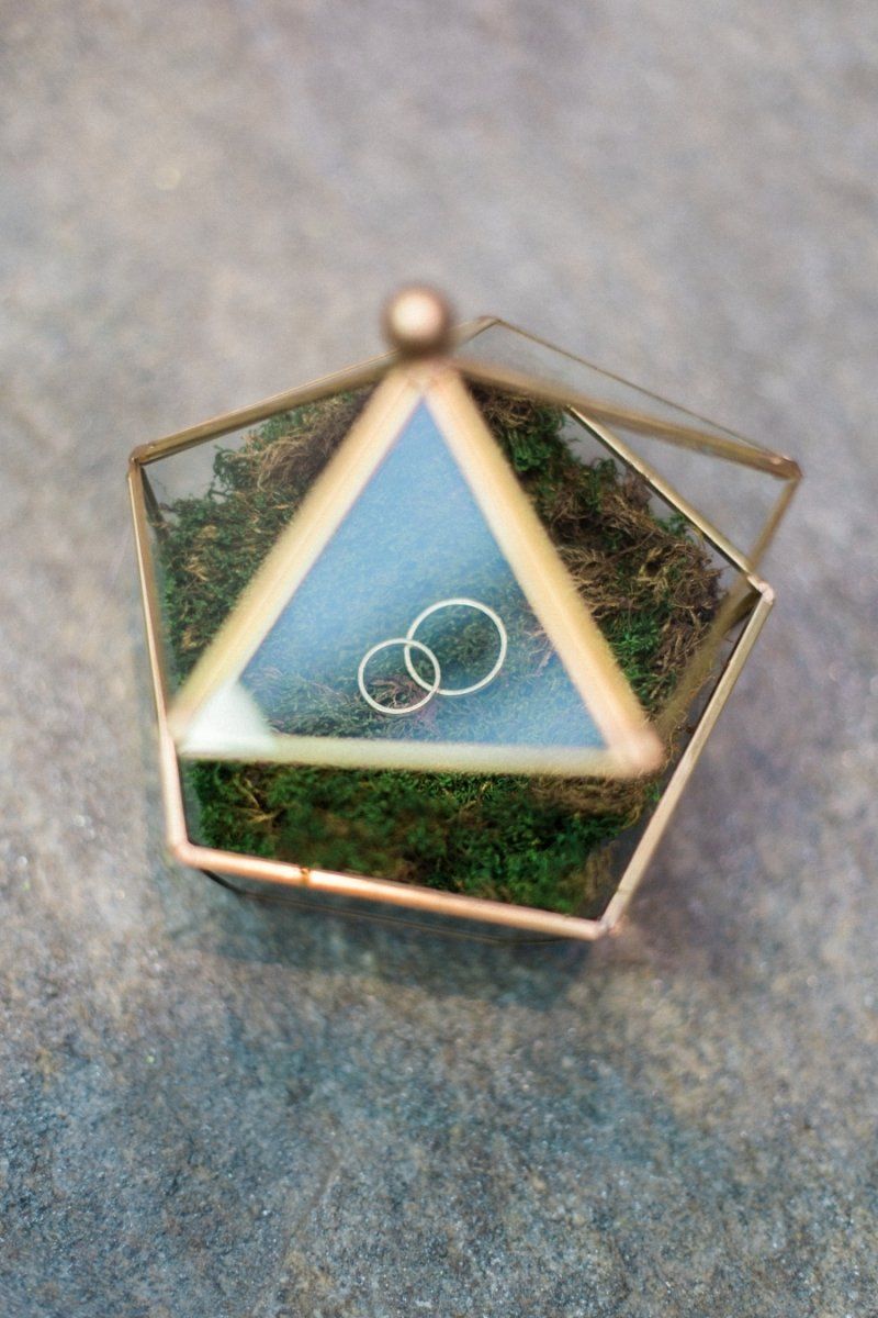 A pair of wedding rings in a triangle shaped box.