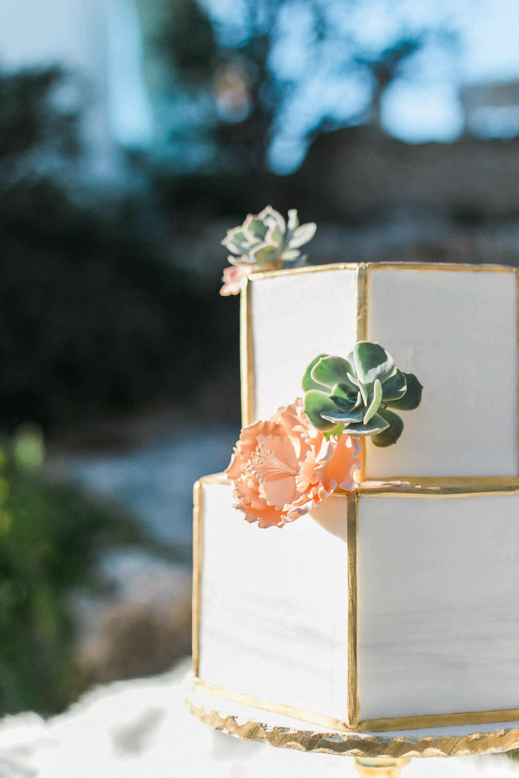 A white wedding cake with succulents on top of it.