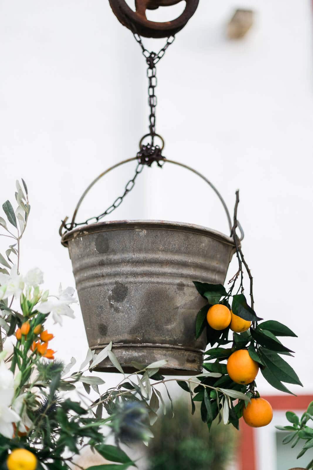 A bucket hanging from a chain next to a tree with oranges