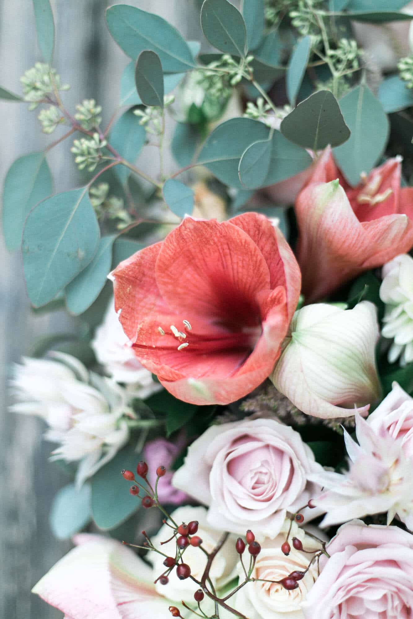 A close up of a bouquet of flowers with a red flower in the middle.