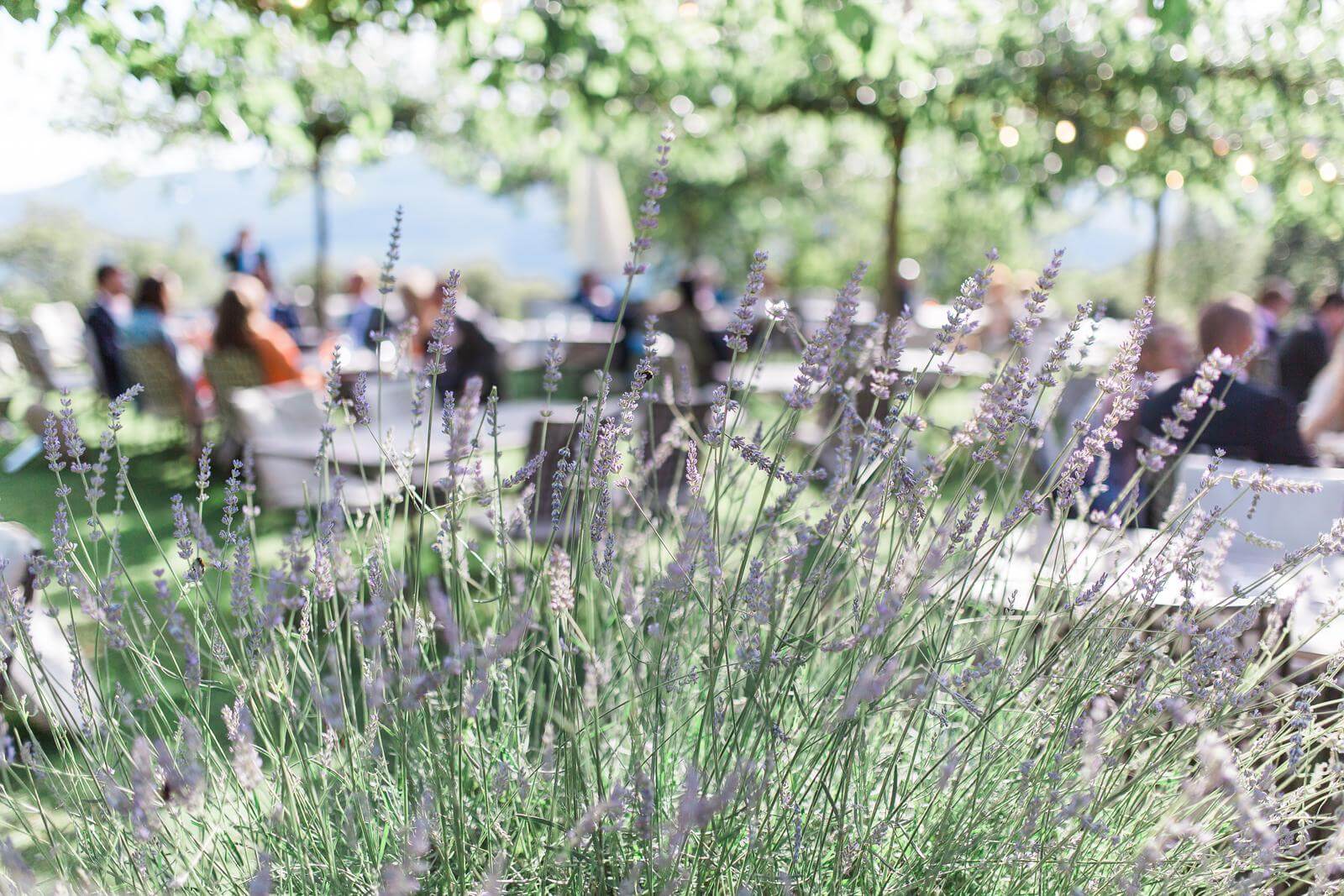 A blurry picture of a group of people sitting at tables in a garden.
