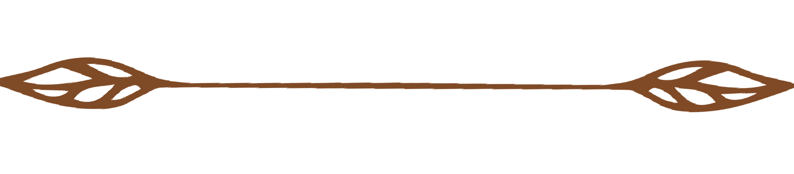 A drawing of a swirl with leaves on a white background.