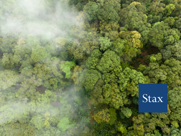 Global Decarbonization Trends: What PE Investors Need to Know