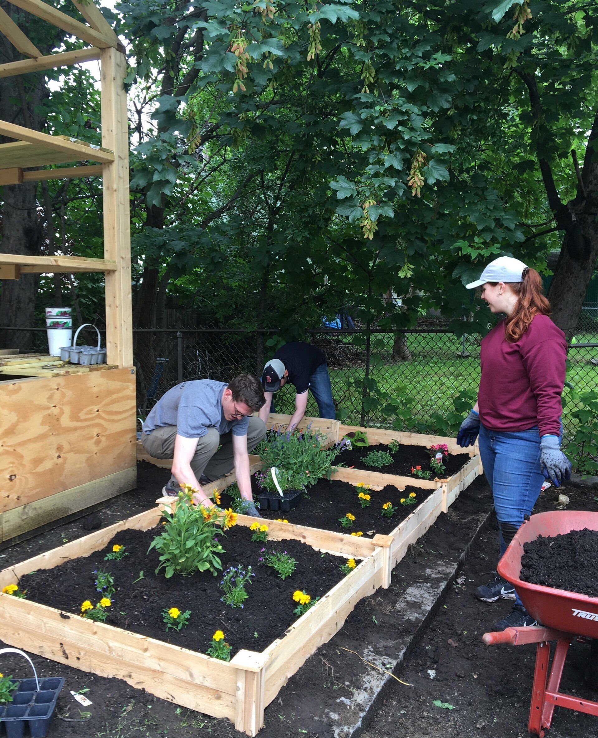 Stax Boston Offers a Green Thumb to United Way Mass Bay