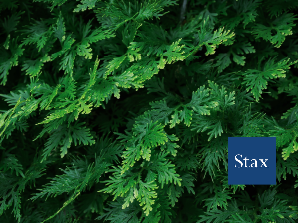 Featured by Raymond James: Packaging, Paper, and Plastics Quarterly Market Update