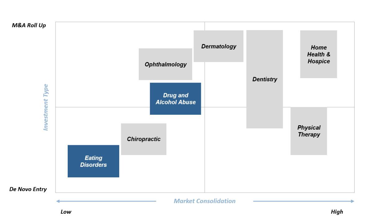 Capital Deployment and Investment Strategy in Various Healthcare Segments