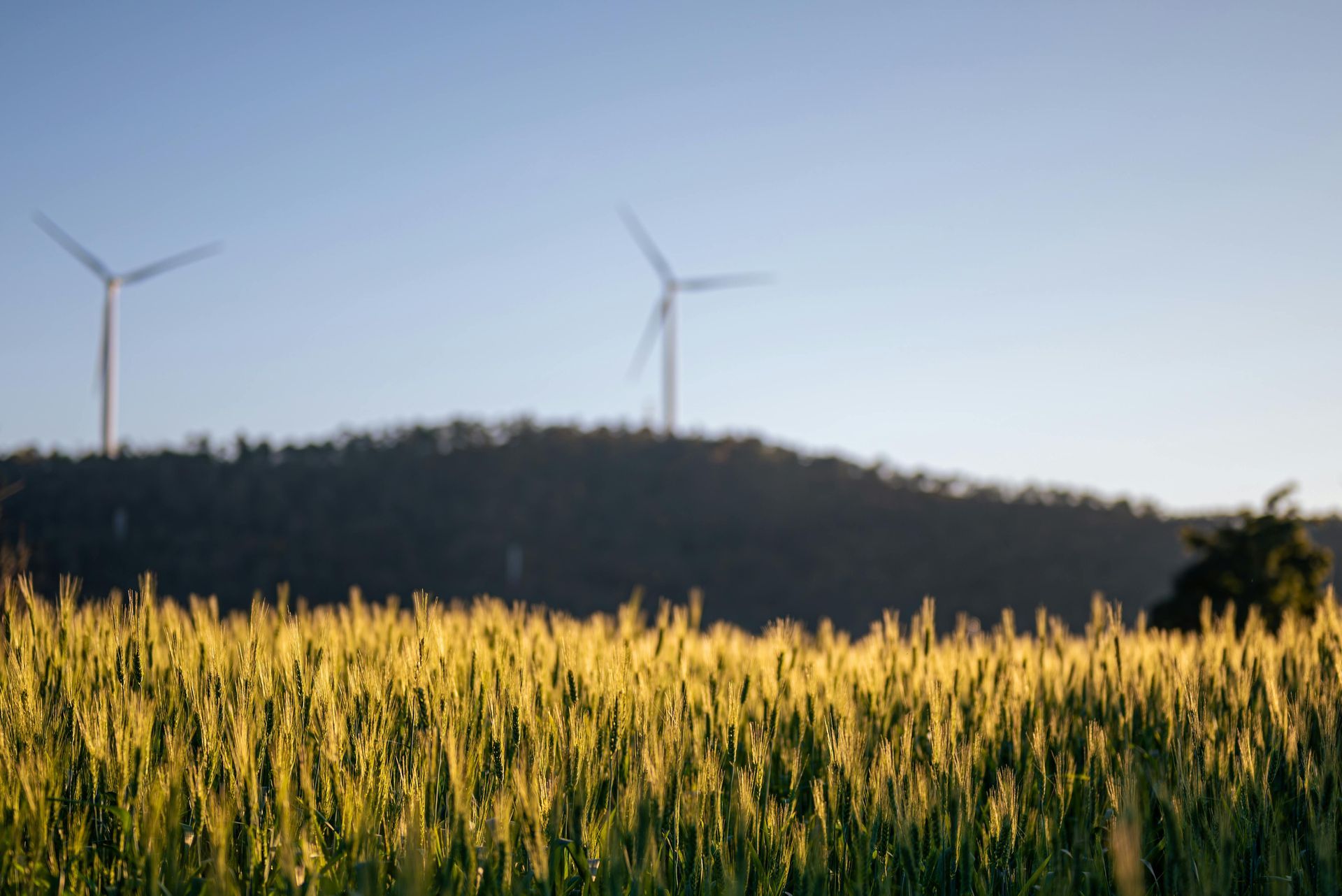 Closing the Sustainability Value Capture Gap