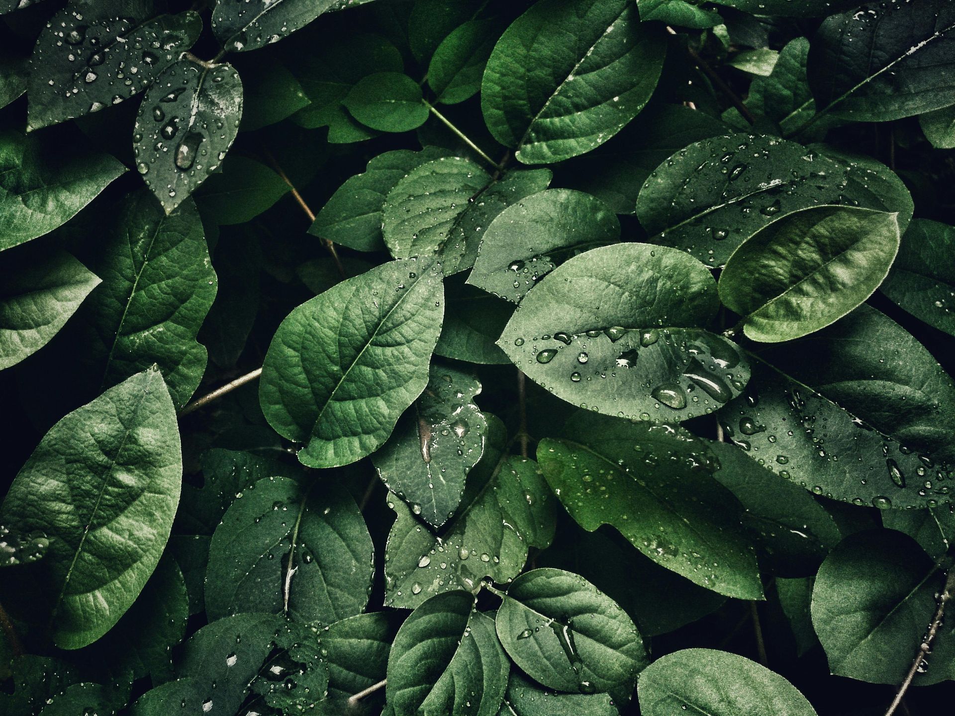 ESG Trends to Watch: Grant Thornton Stax’s Top 10 for 2026