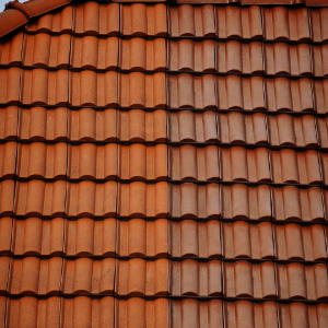 Red clay roof tiles against a blue sky, with a small section of chimney on the left.