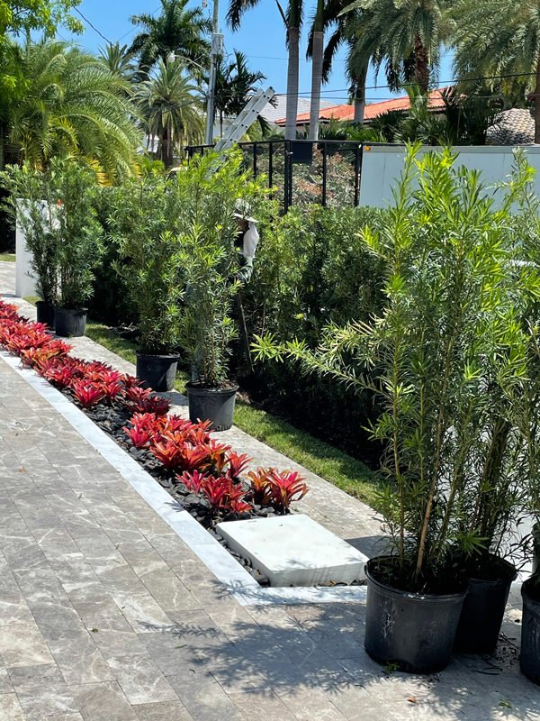 Residential Lawn Services Miami FL Landscape Near Me
